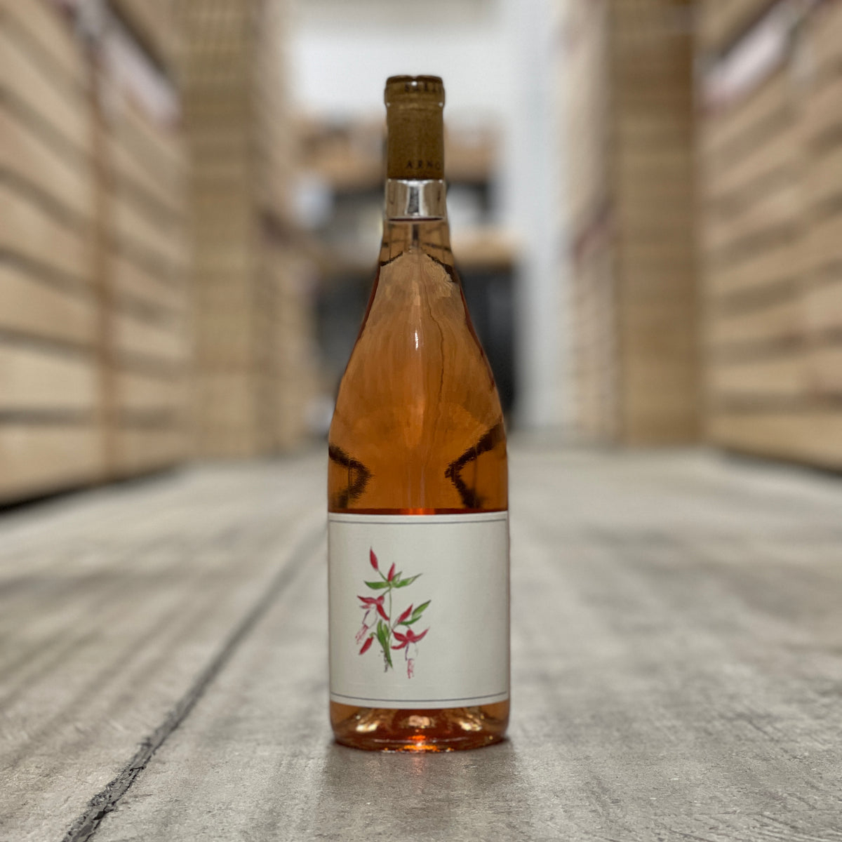 Arnot-Roberts Rose, Lake County, USA 2023