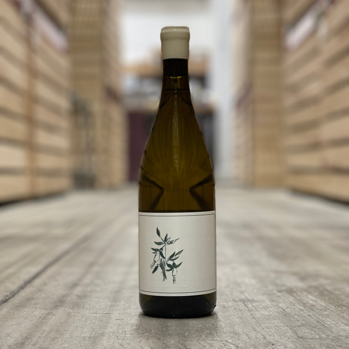 Arnot-Roberts Sanford & Benedict Vineyard Chardonnay, Sta Rita Hills, USA 2021